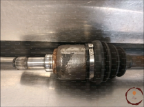 Transmission AVG - FIAT - 51955481