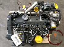 Moteur diesel - RENAULT - 101001319685